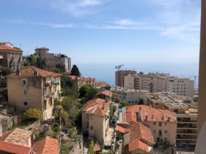 Citronnier Monaco Sea View